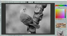 モニター画面に映る鳥

中程度の精度で自動的に生成された説明