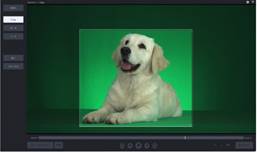 モニター画面に映る犬

中程度の精度で自動的に生成された説明