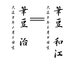 ダイアグラム, 概略図
